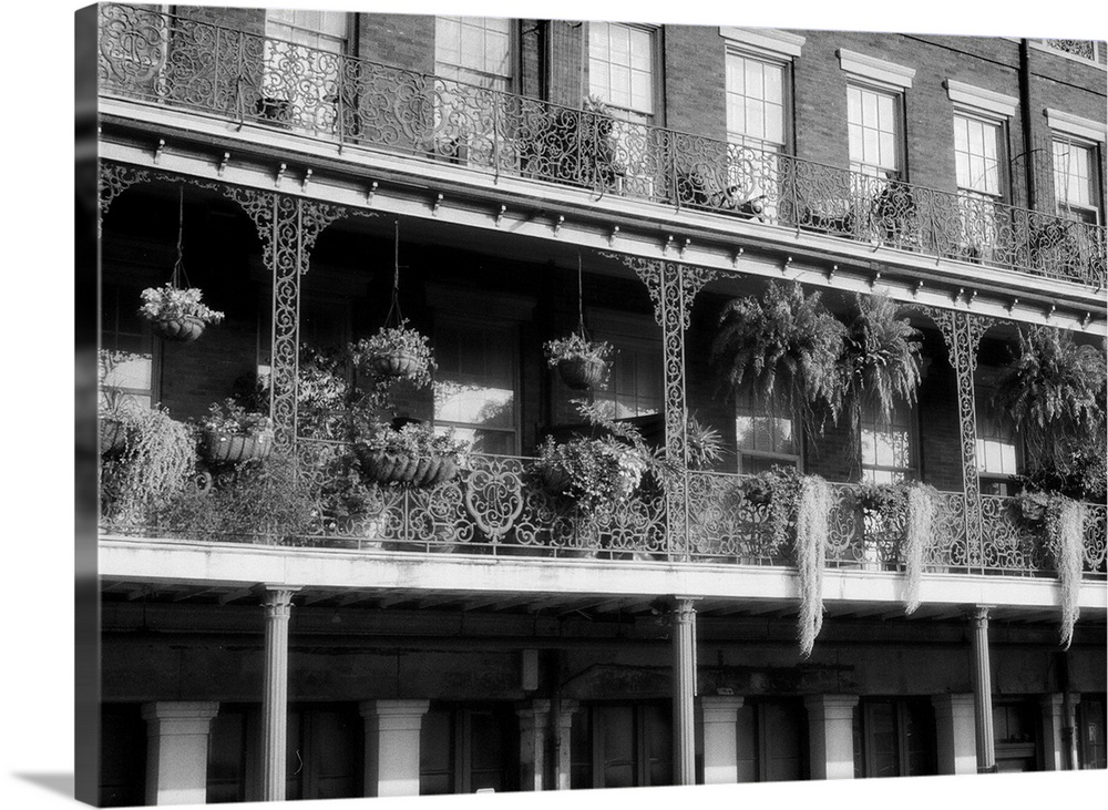 Flowers and other plants cover ornate balconies in New Orleans, LA