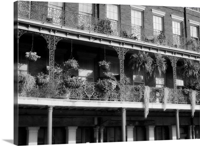 French Balconies, New Orleans, Louisiana
