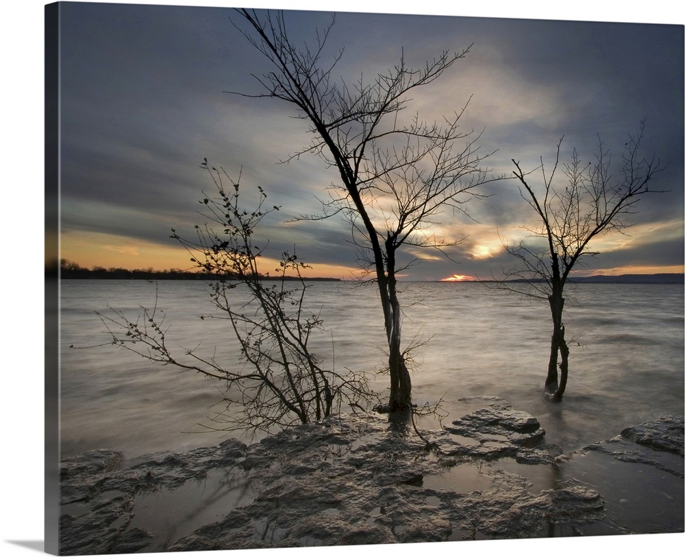 Frozen landscape with small bare tree and setting sun