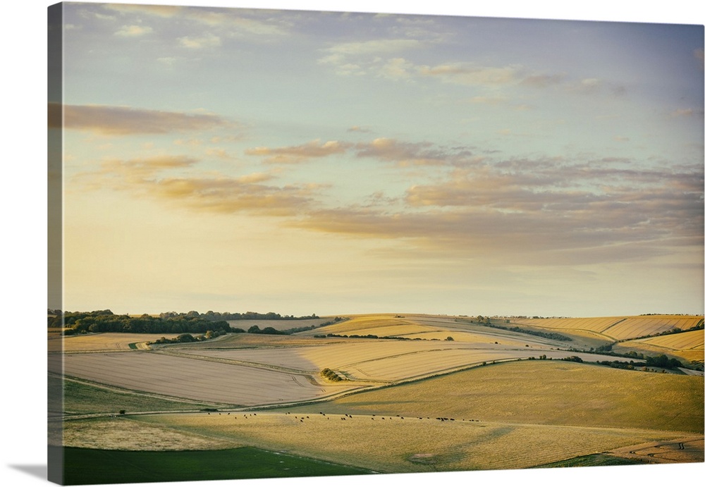 Golden evening light touching the Downland harvest fields. View from Cissbury Ring on the South Downs in West Sussex, Engl...