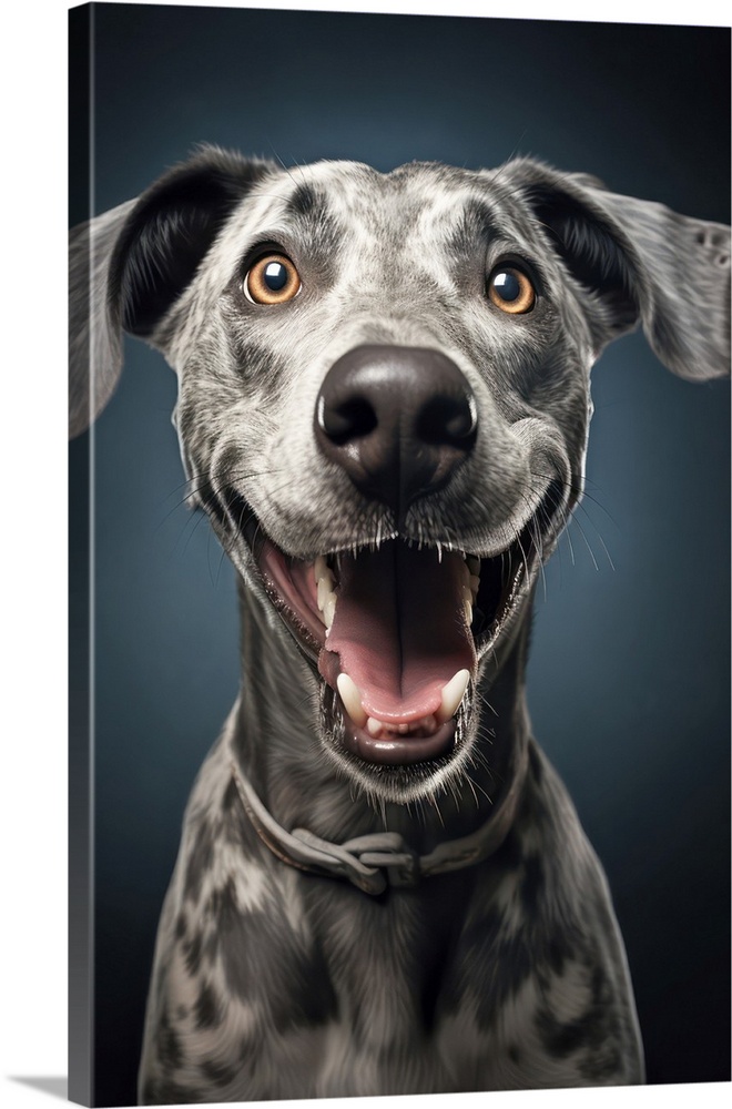 Close up of smiling dog with happy expression