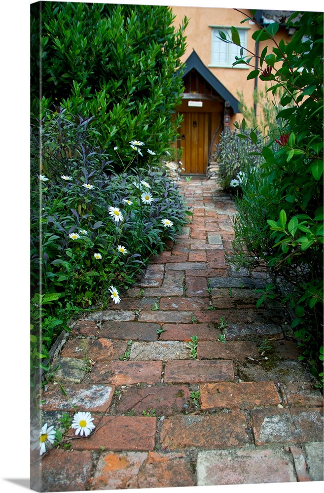 Old path made of bricks leading to cottage door
