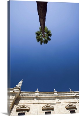 Low angle view of a tall palm tree and the top of Seville's University building, Spain