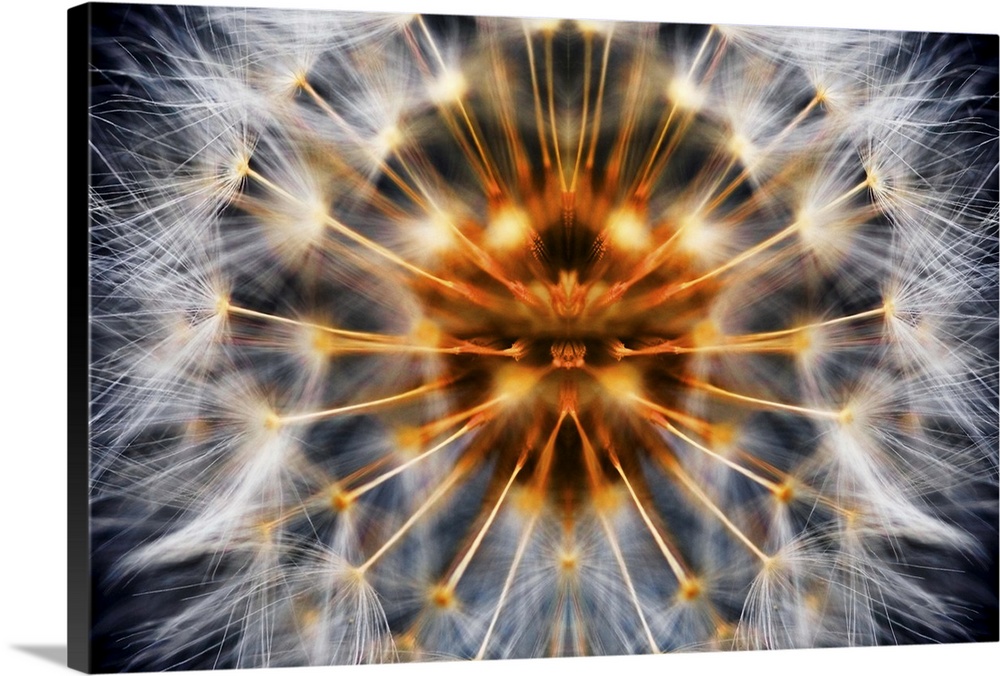 Dandelion Clock abstract mirrored to make a perfect dandelion.