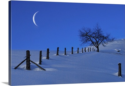 Moon Rising over a Snowy Landscape with a Single Tree and a Fence