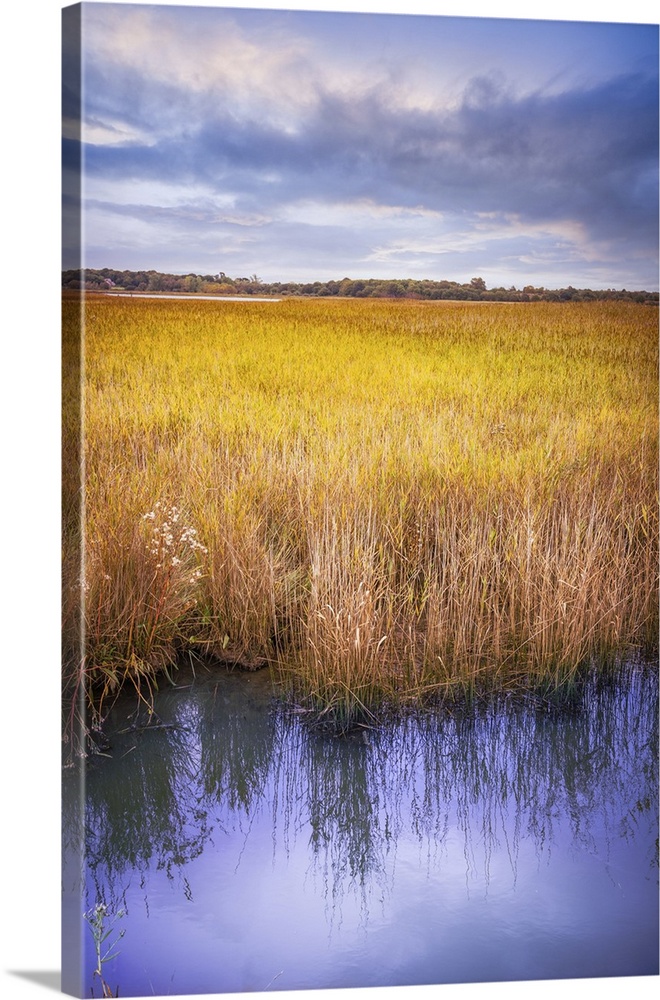 Marshlands on the banks of the river Alde near Snape in Suffolk, England, UK