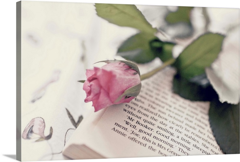 Pink Rose Book Stack Wall Art, Canvas Prints, Framed Prints, Wall Peels