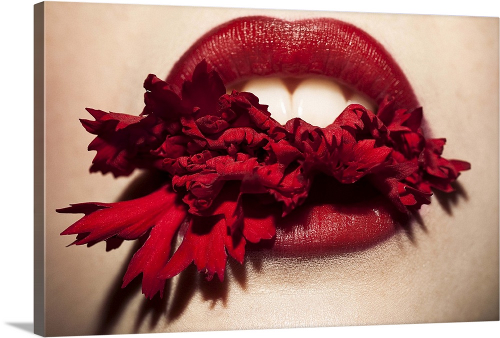 Close up beauty photo of a mouth with red lips, biting down on a red flower