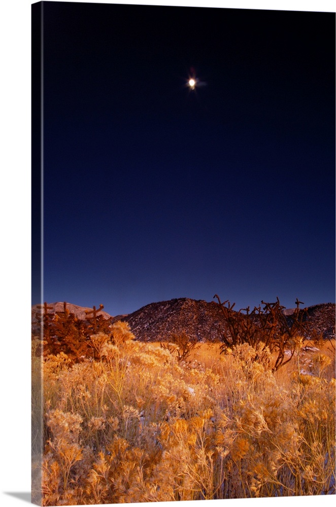 Sandia mountains desert twilight landscape moon rise, New Mexico