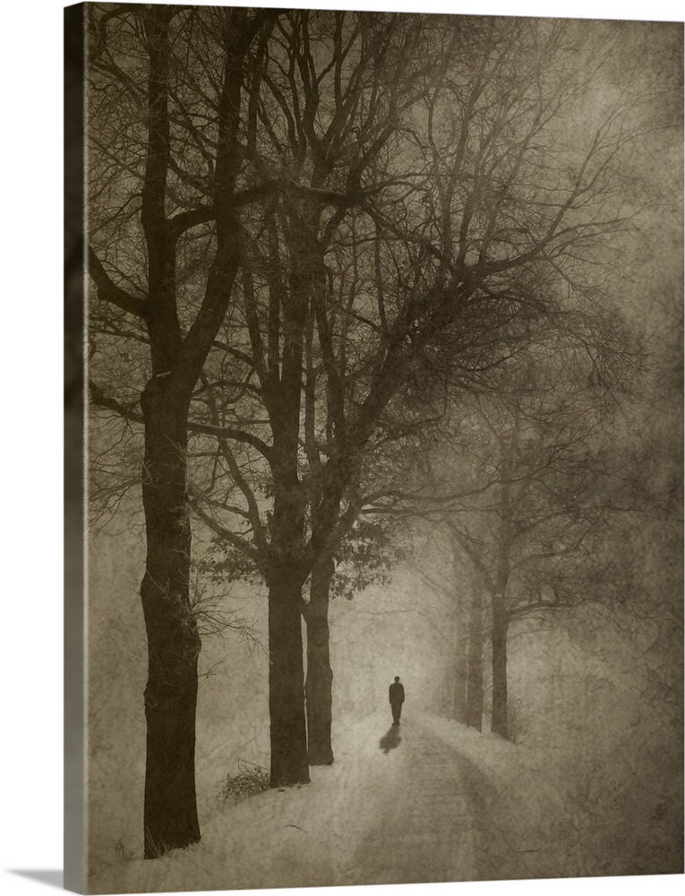 Silhouette of a person standing in the middle of a mysterious tree-lined road in winter