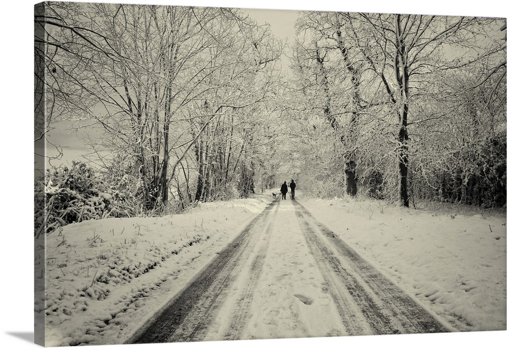 Wintry lane in Suffolk, England with two figures in the distance.