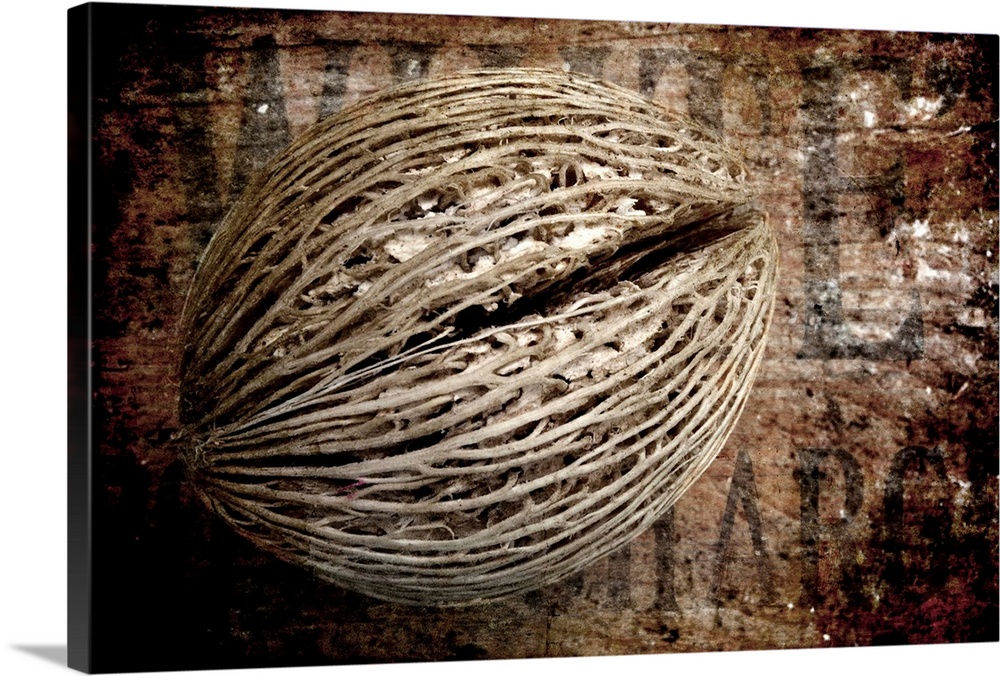 A seed pod photographed against wood. Textures added in photoshop afterwards.