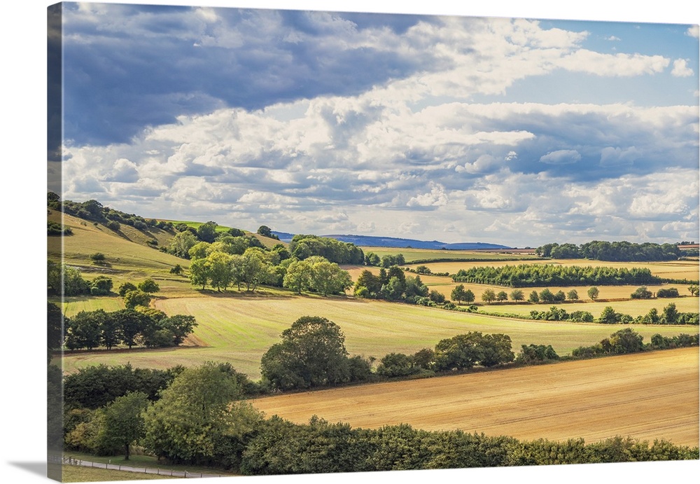 large fields on the South Downs in Sussex, England, UK on a summers evening during harvest.