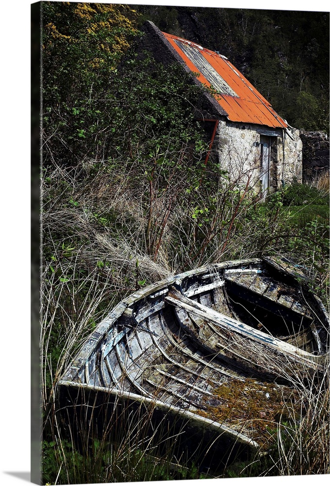 An old rowing boat in long grass near an outbuilding with a tin roof