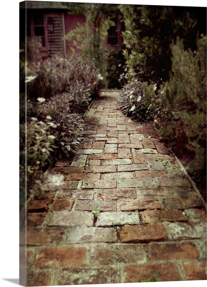 small path made of old bricks in a cottage herb garden