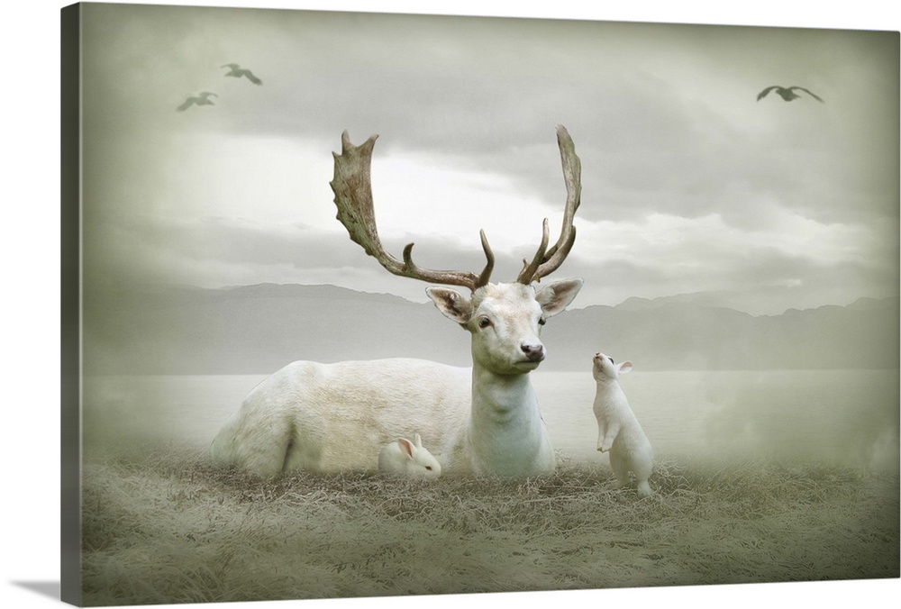 White stag sitting with white rabbits