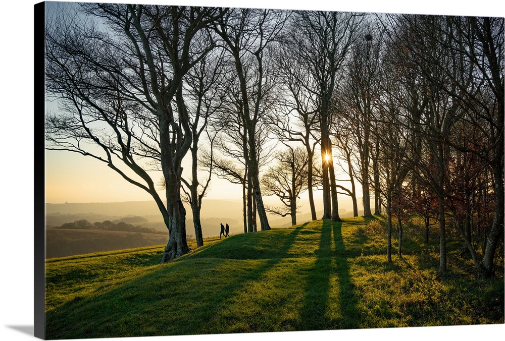The winter sun setting behind trees at Chanctonbury Ring on the South Downs in west Sussex, England.