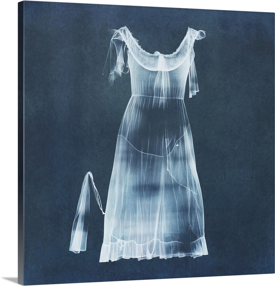 Sheer see through garment in photogram style.