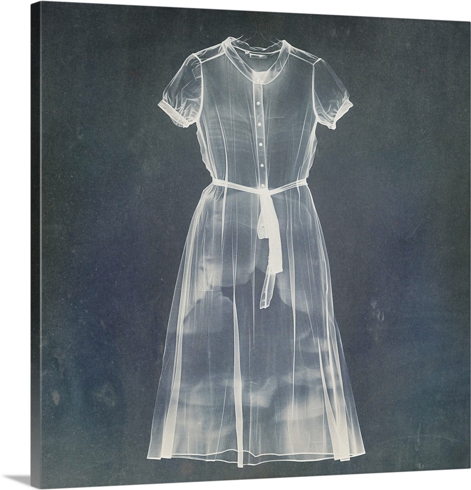 Sheer see through garment in photogram style.