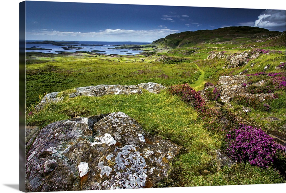 Coastal scenery with grass, heather and rocks on coastal path in rural Scotland in summer