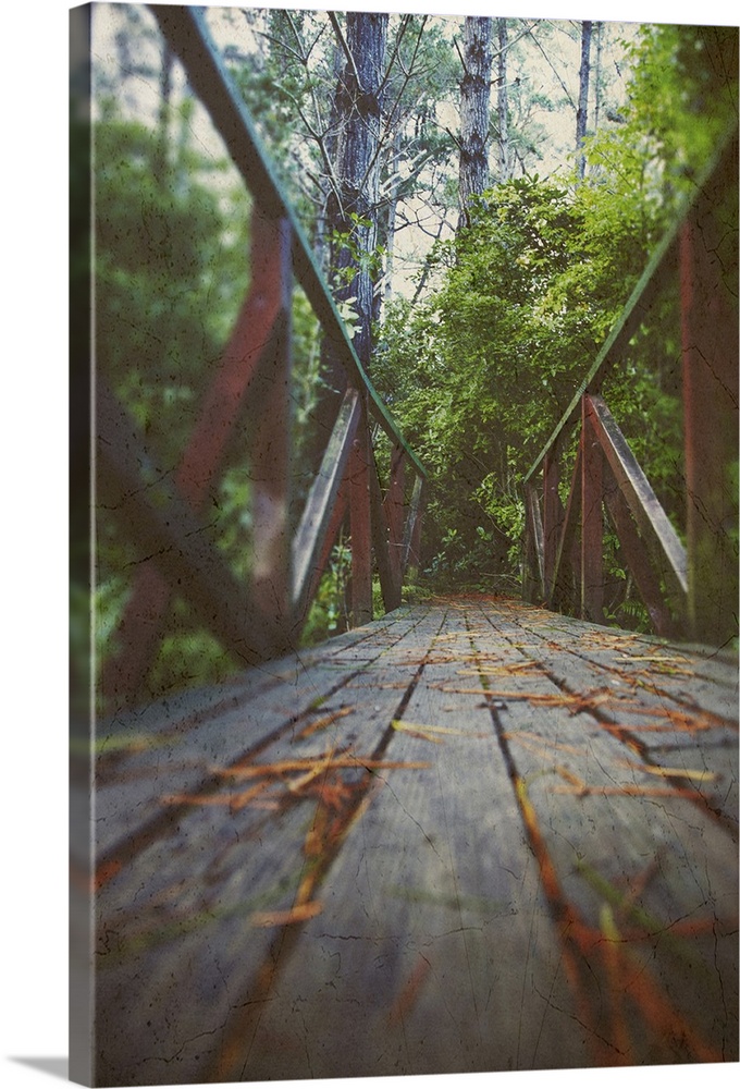 low angle view of a wooden bridge leading into a forest