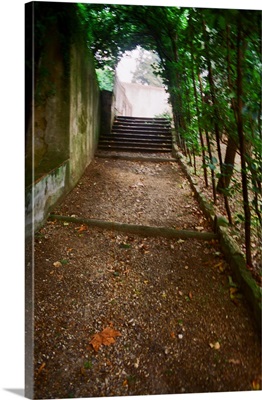 Walkway in Boboli Garden, Florence, Italy