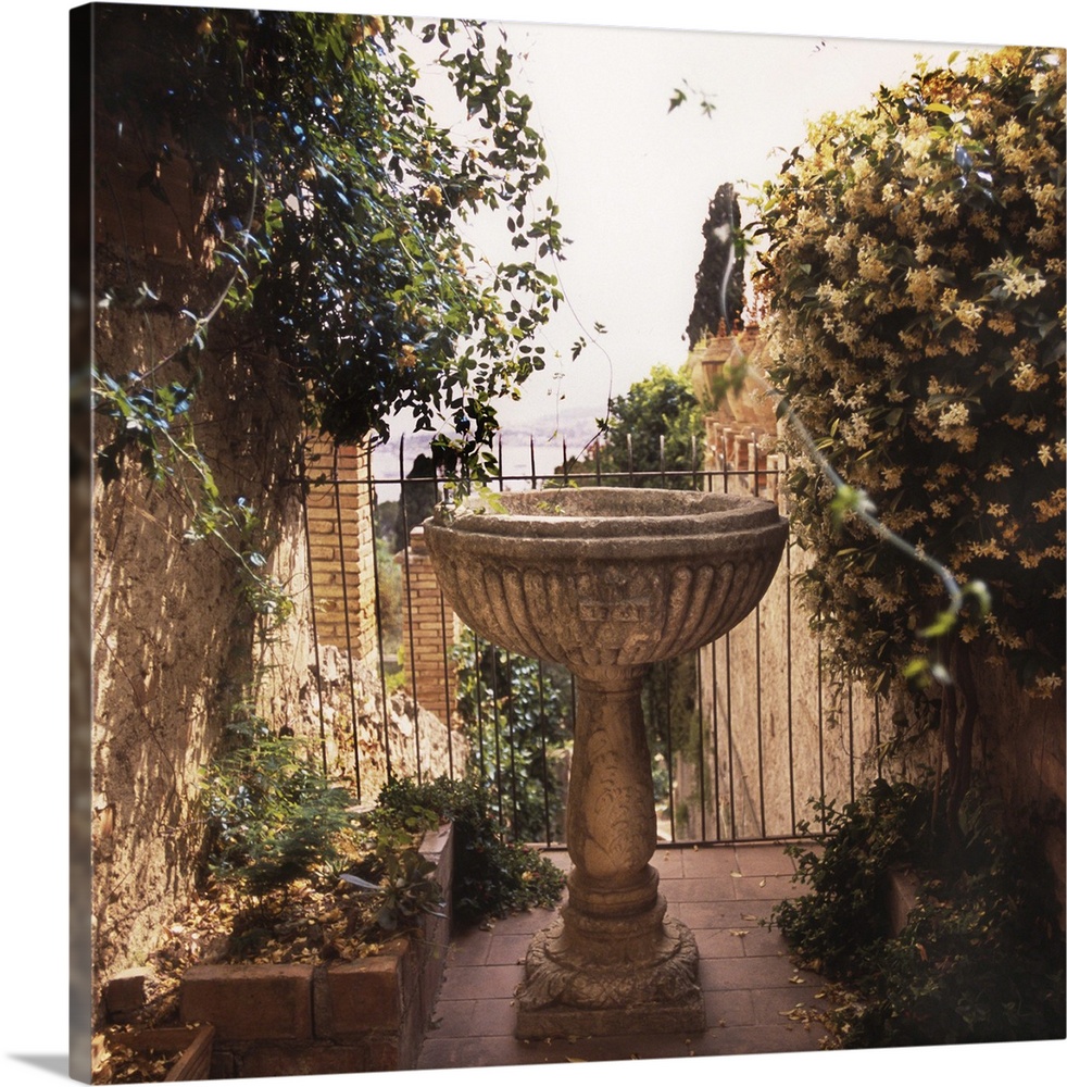 A birdbath is the centerpiece of an Italian garden