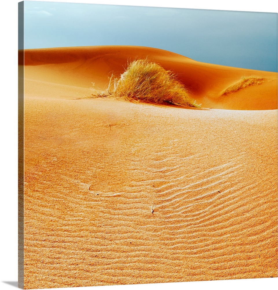 Sarah desert with golden sand
