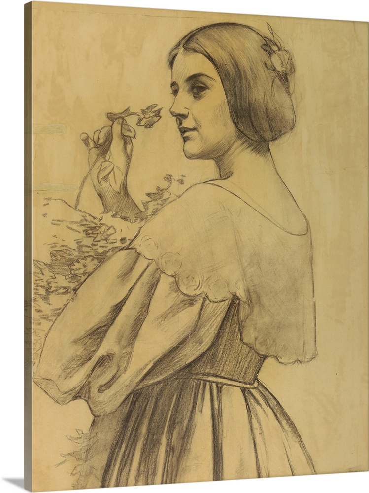 Half-length figure, turned away from viewer. A woman looks over her left shoulder, holding a flower in her right hand. Her...