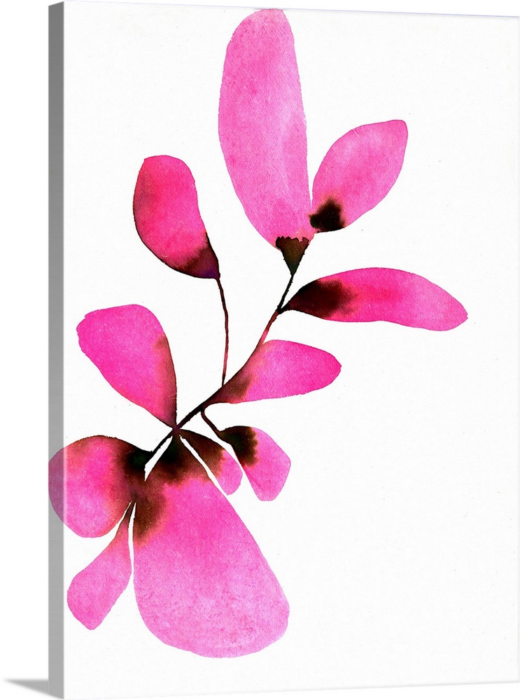 At First Blush No. 2