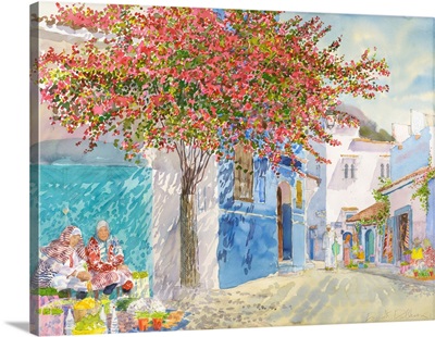 Bougainvillea Majesty