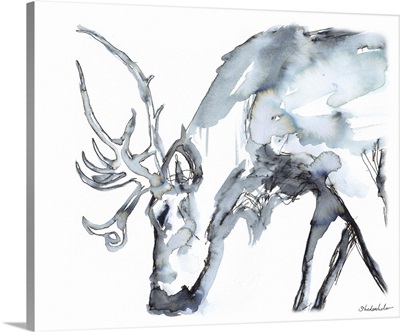 Elk