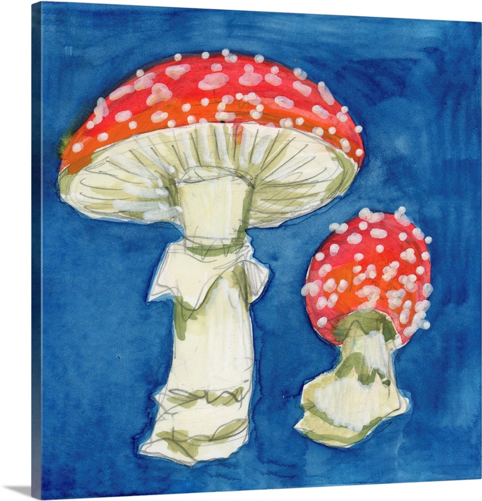 Fly Agaric I