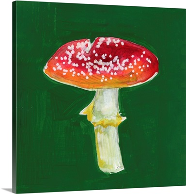 Fly Agaric II