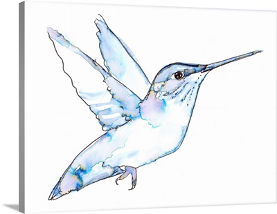 Hummingbird In Flight