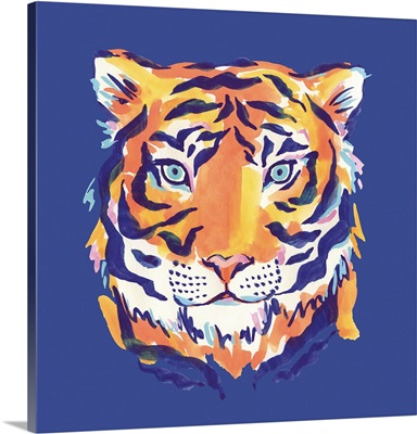 Midnight Tiger