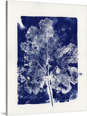 Stepping On The Frost No. 2