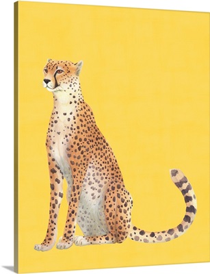 Sunny Cheetah Resting