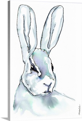 The Hare