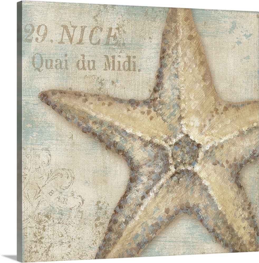 Artwork of starfish with the text "29. Nice. Quai du Midi" in beach colors.