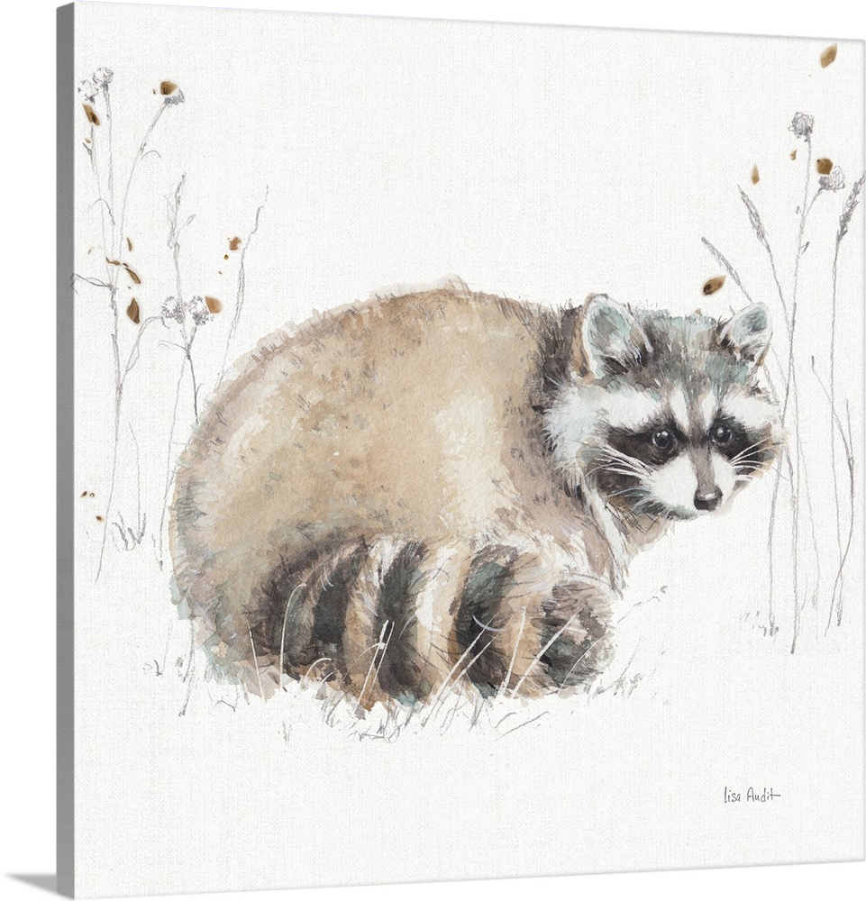 Decorative artwork of a watercolor raccoon perched on a branch against a white background.