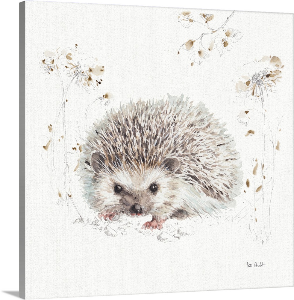 Decorative artwork of a watercolor hedgehog perched on a branch against a white background.