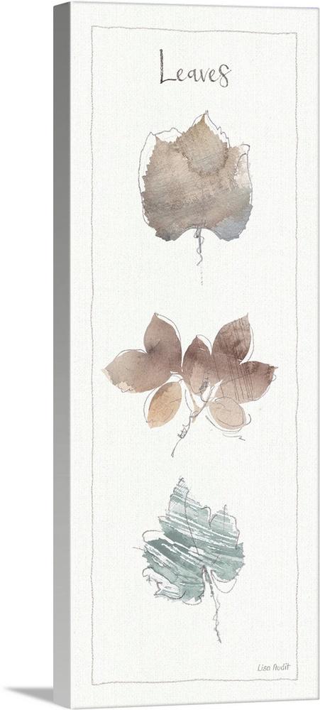 Watercolor painting of a variety of types of leaves on an off white background with a thin line border and the word "Leaves."