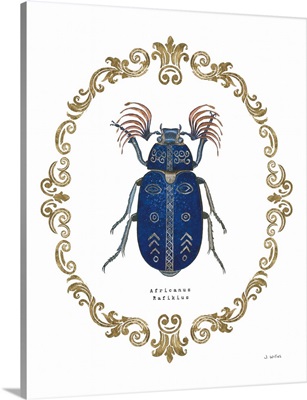 Adorning Coleoptera III
