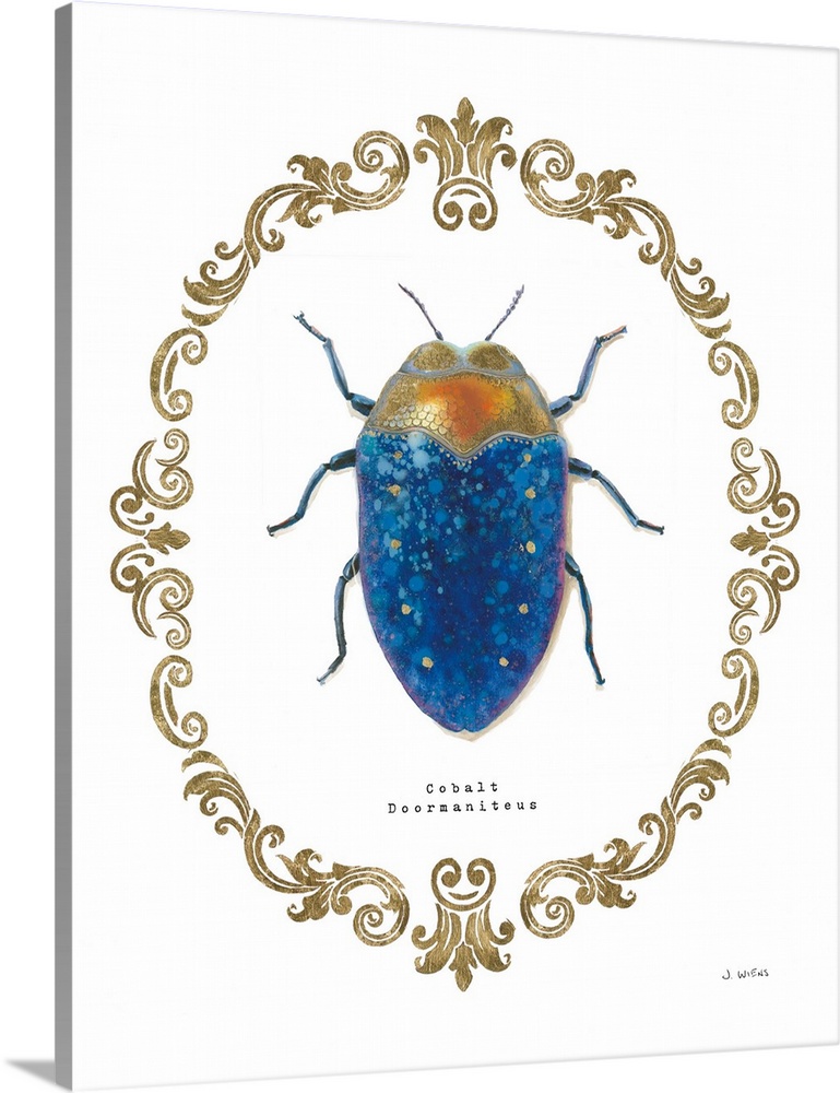Decorative artwork of beetle a surrounded by a baroque gold frame with the words, 'Cobalt Doormaniteus'.