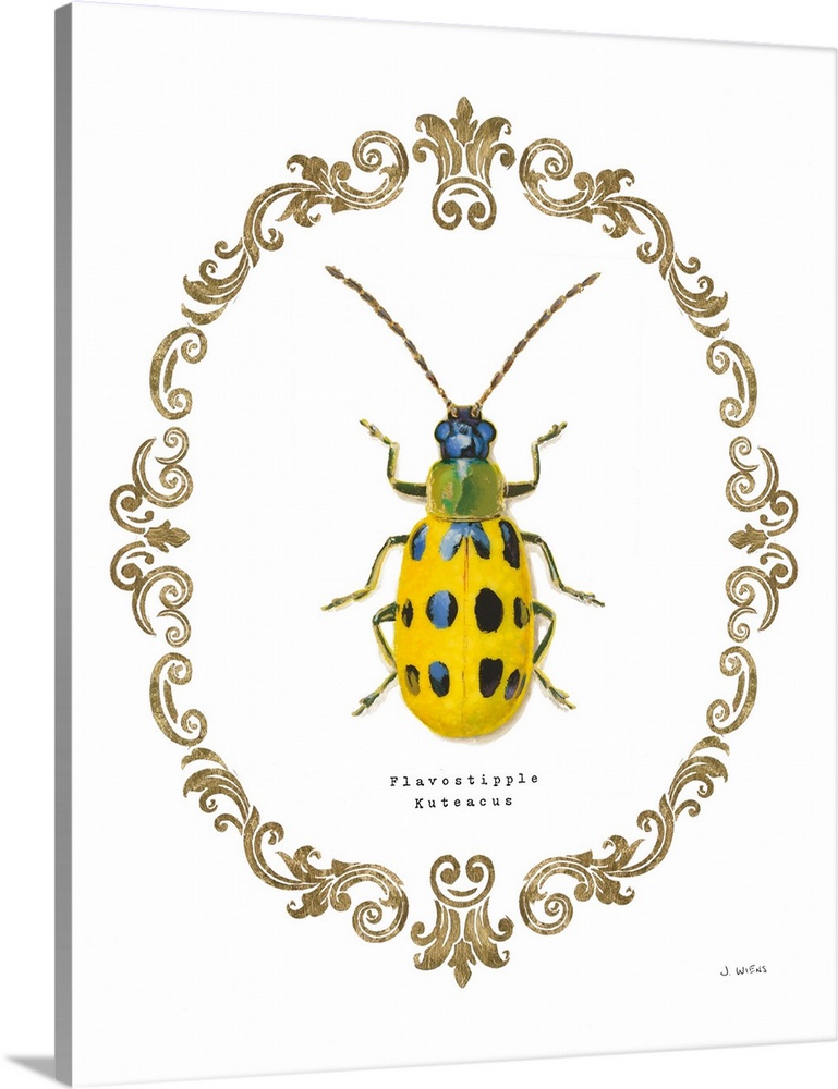 Decorative artwork of beetle a surrounded by a baroque gold frame with the words, 'Flavostipple Kuteacus'.