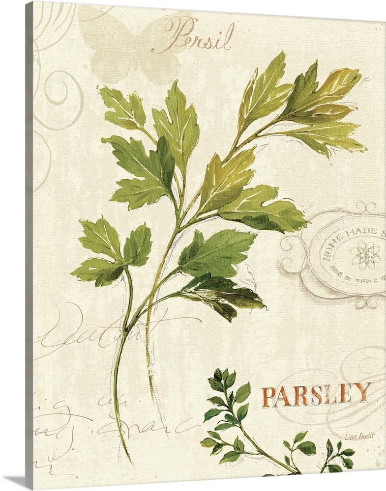 Illustration of parsley leaves.