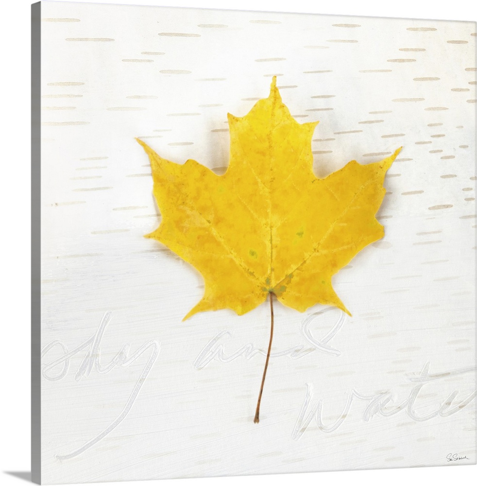 Square art with a yellow Fall maple leaf on an aspen wood grain background with "sky and water" written faintly at the bot...