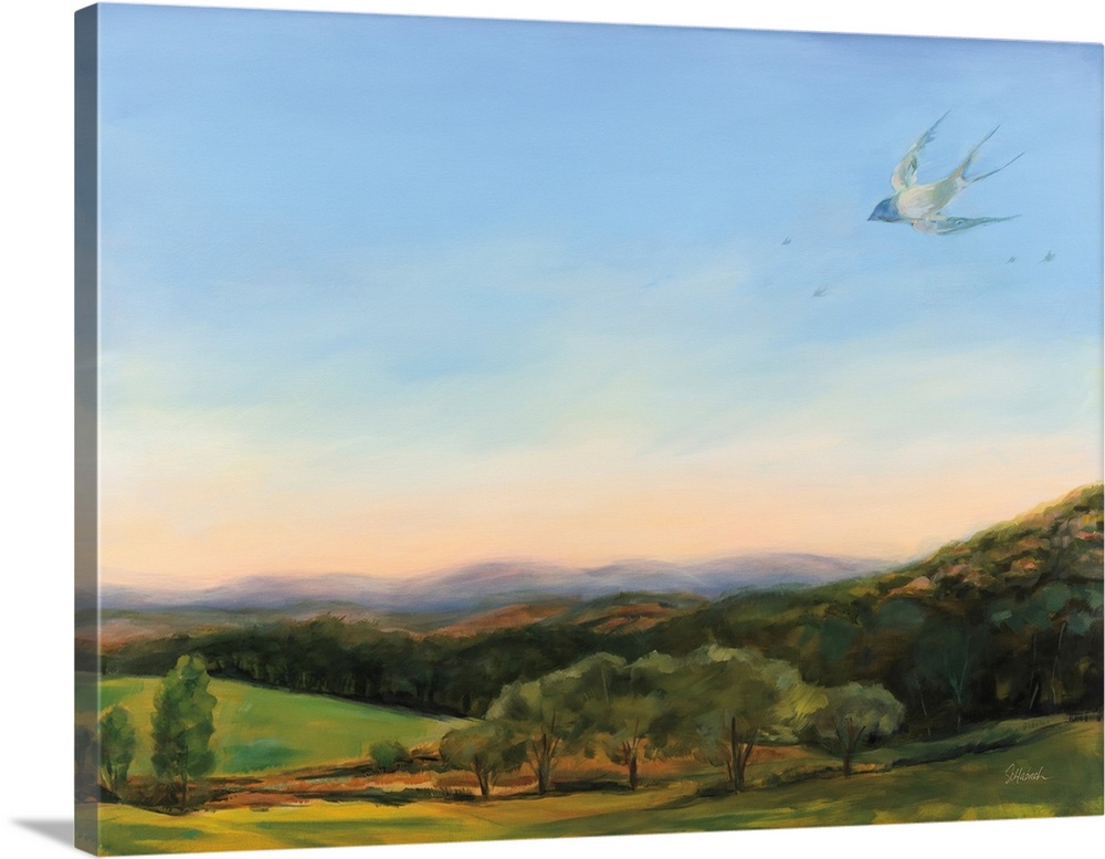 Barn Swallows Over Fable Farm