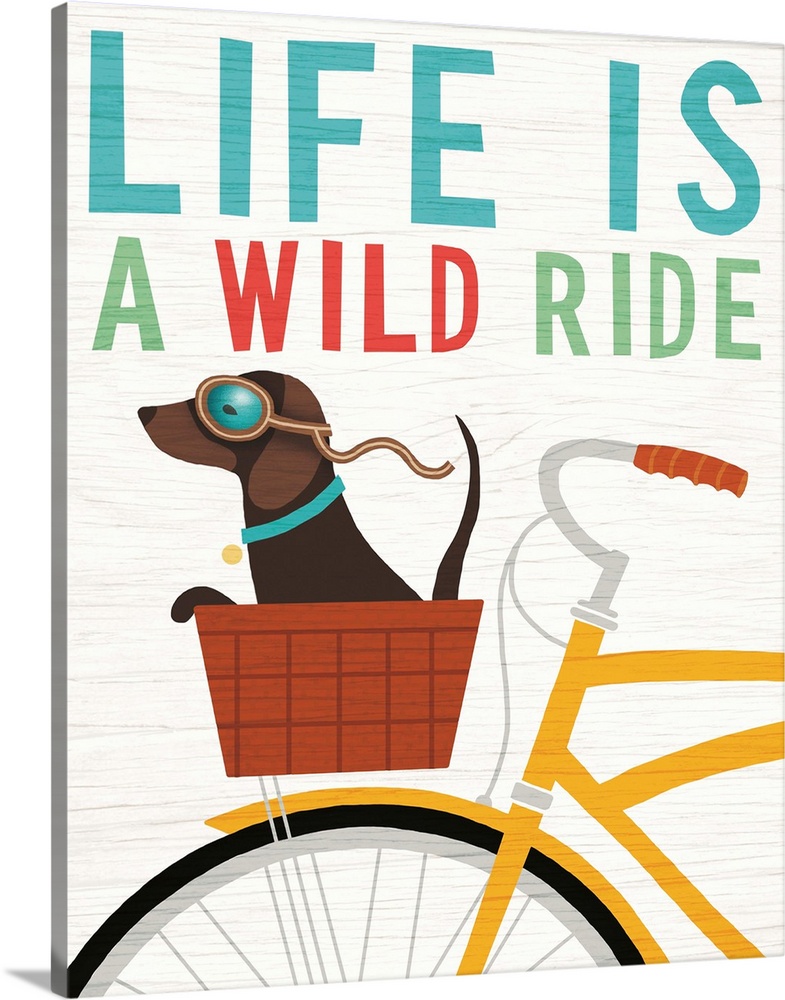 Illustration of a dachshund riding in the basket of a yellow bicycle with goggles on and the phrase "Life is a Wild Ride" ...